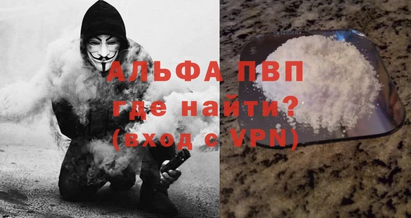 PSILOCYBIN Магас